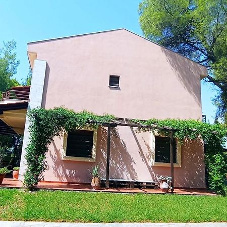 High Aesthetics Maisonette In The Wood By The Sea Metamorfosi  Exterior photo