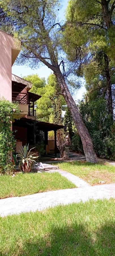 High Aesthetics Maisonette In The Wood By The Sea Metamorfosi  Exterior photo