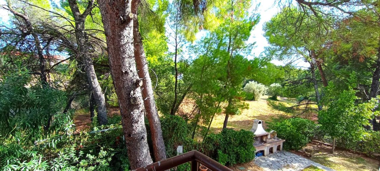 High Aesthetics Maisonette In The Wood By The Sea Metamorfosi  Exterior photo