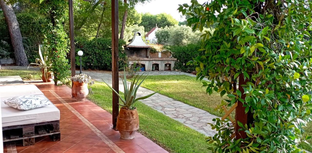 High Aesthetics Maisonette In The Wood By The Sea Metamorfosi  Exterior photo