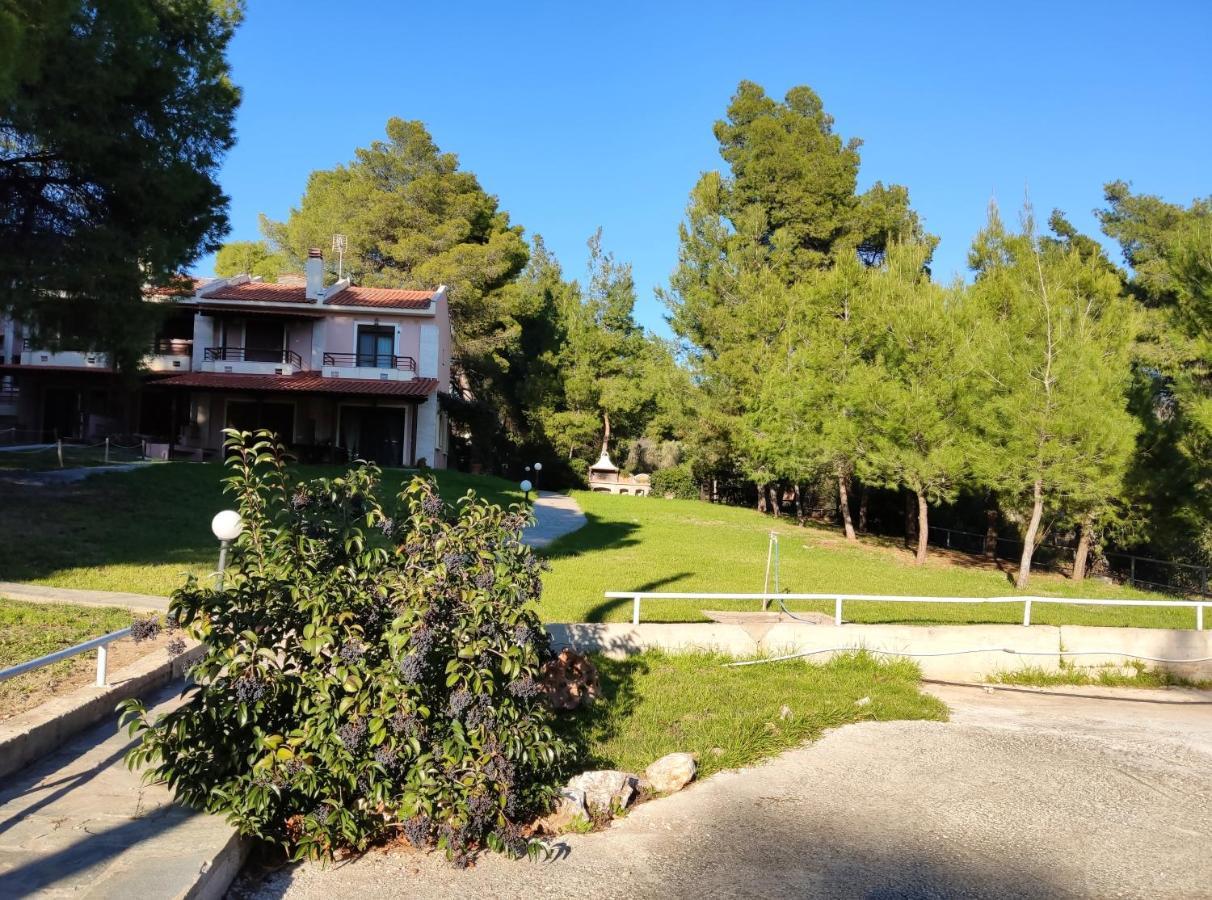 High Aesthetics Maisonette In The Wood By The Sea Metamorfosi  Exterior photo