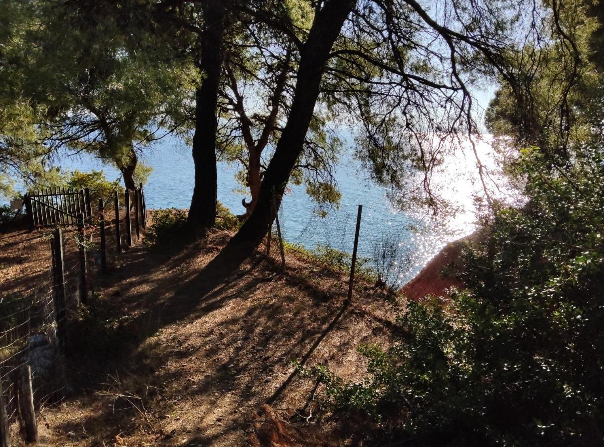 High Aesthetics Maisonette In The Wood By The Sea Metamorfosi  Exterior photo